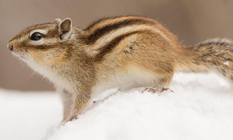 上海泽宇智能科技有限公司轮播图5